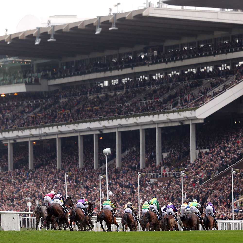 Cheltenham Gold Cup
